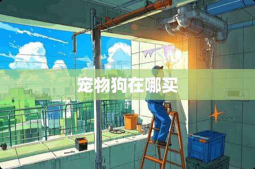 宠物狗在哪买
