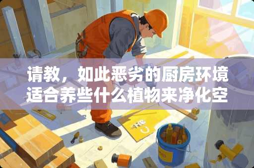 请教，如此恶劣的厨房环境适合养些什么植物来净化空气？