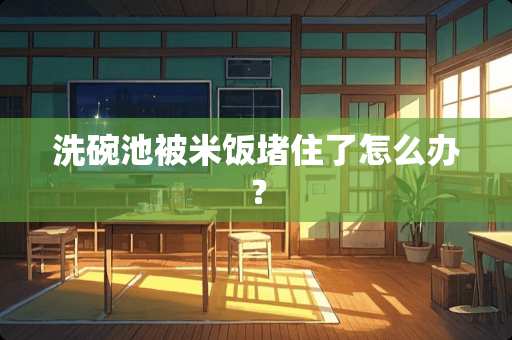 洗碗池被米饭堵住了怎么办？