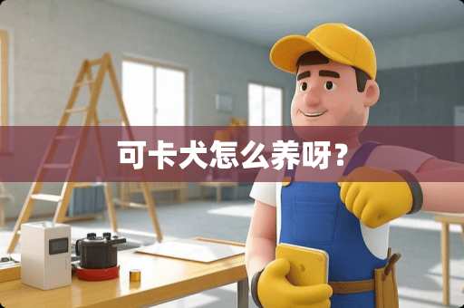 可卡犬怎么养呀？