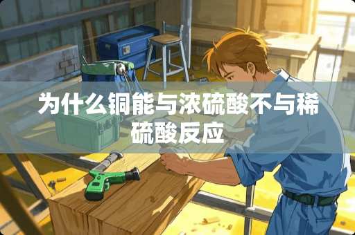 为什么铜能与***不与稀硫酸反应