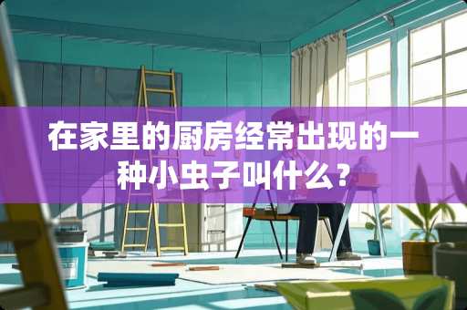 在家里的厨房经常出现的一种小虫子叫什么？