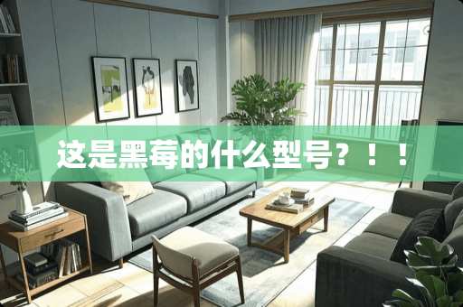 这是黑莓的什么型号？！！