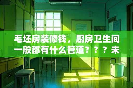 毛坯房装修钱，厨房卫生间一般都有什么管道？？？未安装前高度是多少？？