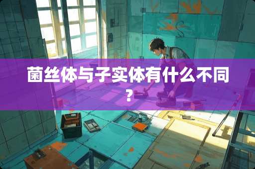 菌丝体与子实体有什么不同？