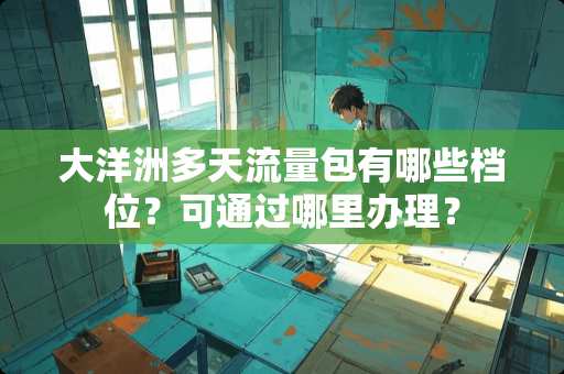 大洋洲多天流量包有哪些档位？可通过哪里办理？