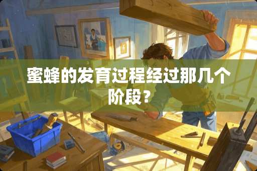 蜜蜂的发育过程经过那几个阶段？