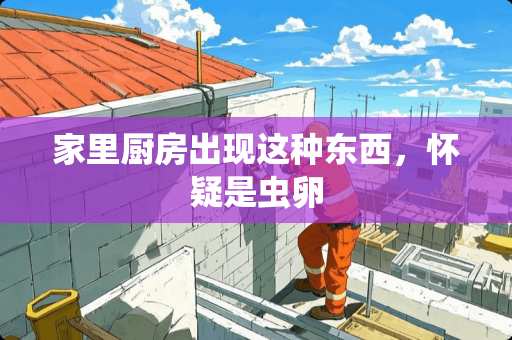 家里厨房出现这种东西，怀疑是虫卵