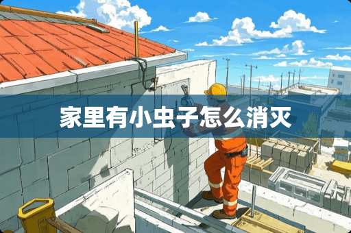 家里有小虫子怎么消灭