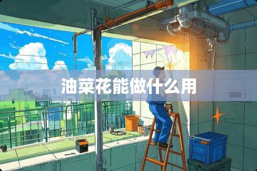 油菜花能做什么用