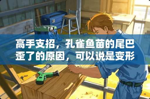 高手支招，孔雀鱼苗的尾巴歪了的原因，可以说是变形了。