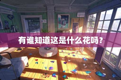 有谁知道这是什么花吗？