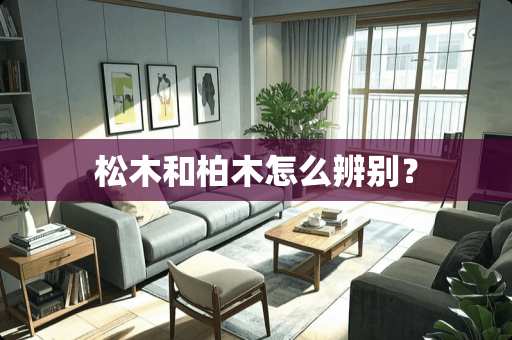 松木和柏木怎么辨别？