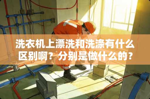 洗衣机上漂洗和洗涤有什么区别啊？分别是做什么的？