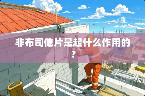 非布司他片是起什么作用的？