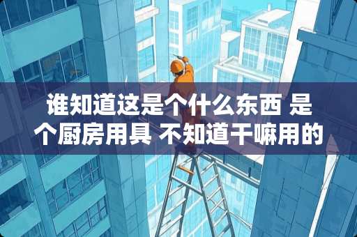 谁知道这是个什么东西 是个厨房用具 不知道干嘛用的