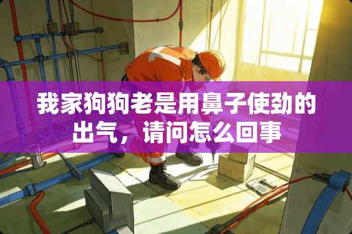 我家狗狗老是用鼻子使劲的出气，请问怎么回事