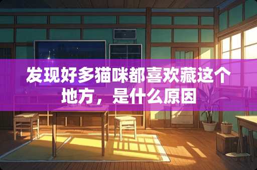 发现好多猫咪都喜欢藏这个地方，是什么原因