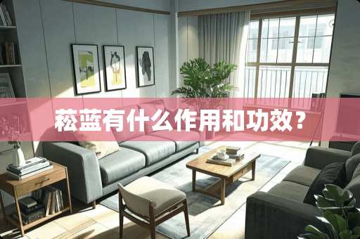 菘蓝有什么作用和功效？