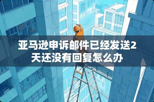 亚马逊申诉邮件已经发送2天还没有回复怎么办