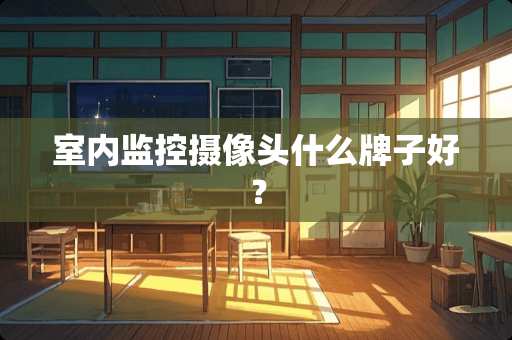 室内监控**头什么牌子好？
