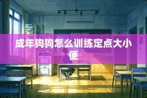 成年狗狗怎么训练定点大小便