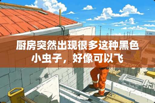 厨房突然出现很多这种黑色小虫子，好像可以飞