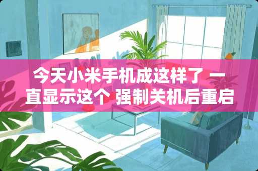 今天小米手机成这样了 一直显示这个 强制关机后重启还是这样