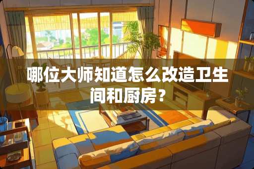 哪位大师知道怎么改造卫生间和厨房？