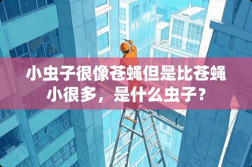 小虫子很像苍蝇但是比苍蝇小很多，是什么虫子？