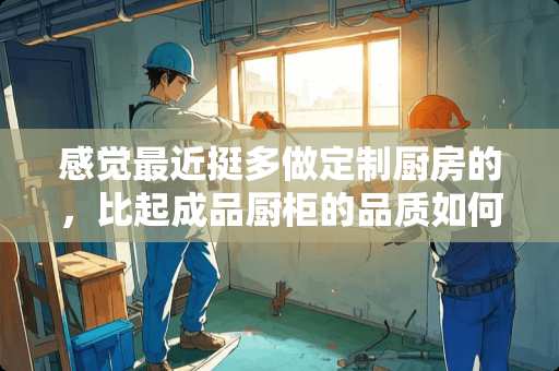 感觉最近挺多做定制厨房的，比起成品厨柜的品质如何？