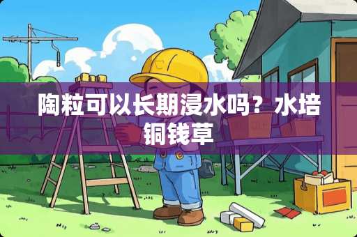 陶粒可以长期浸水吗？水培铜钱草