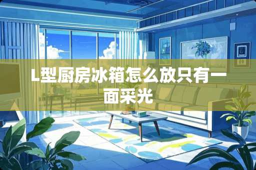 L型厨房冰箱怎么放只有一面采光