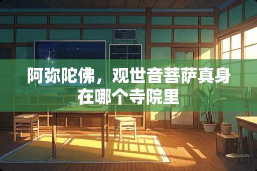 阿弥陀佛，观世音菩萨真身在哪个寺院里