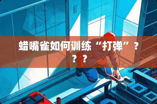 蜡嘴雀如何训练“打弹”？？？