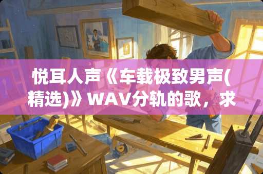 悦耳人声《车载极致男声(精选)》WAV分轨的歌，求百度网盘下载资源
