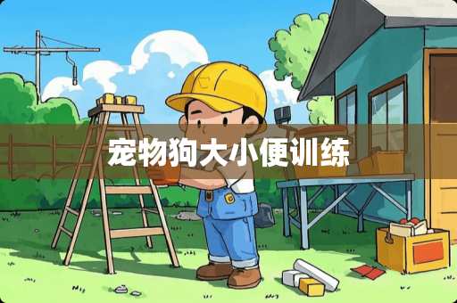 宠物狗大小便训练