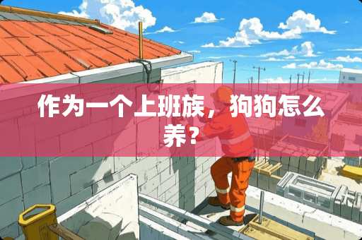 作为一个上班族，狗狗怎么养？