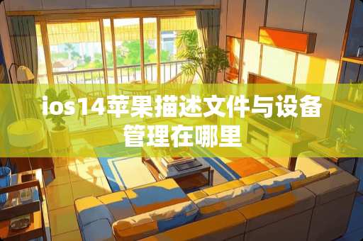 ios14苹果描述文件与设备管理在哪里
