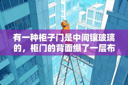 有一种柜子门是中间镶玻璃的，柜门的背面绷了一层布，作为背景，那层布该怎么称呼啊？