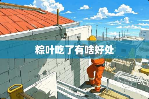 粽叶吃了有啥好处