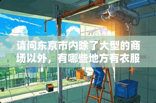 请问东京市内除了大型的商场以外,有哪些地方有衣服饰品便宜又好看的小店? 请问东京市内除了大型的商场以外,有哪些地方有衣服饰品便宜又好看的小店?