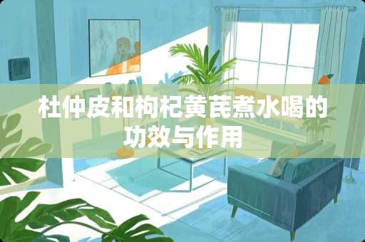 杜仲皮和枸杞黄芪煮水喝的功效与作用