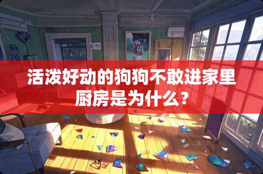 活泼好动的狗狗不敢进家里厨房是为什么？