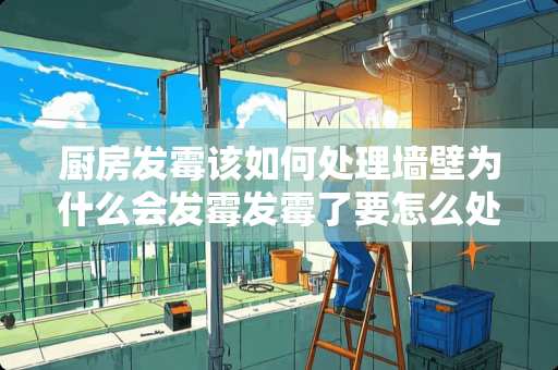 厨房发霉该如何处理墙壁为什么会发霉发霉了要怎么处理