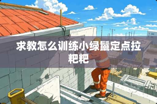 求教怎么训练小绿鬣定点拉粑粑