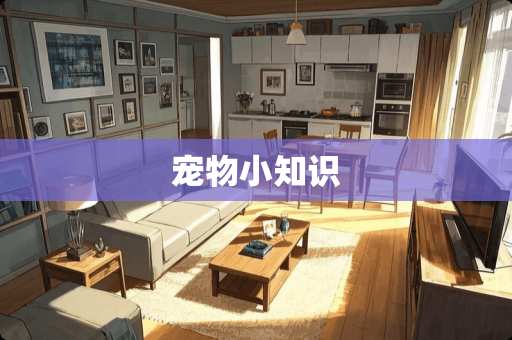 宠物小知识