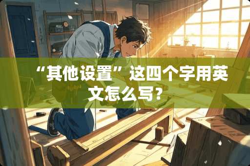 “其他设置”这四个字用英文怎么写？