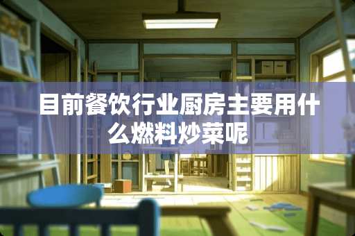 目前餐饮行业厨房主要用什么燃料炒菜呢