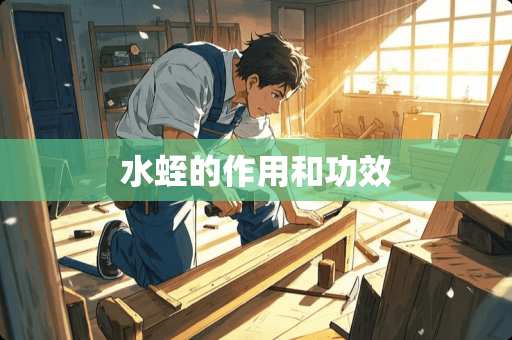 水蛭的作用和功效